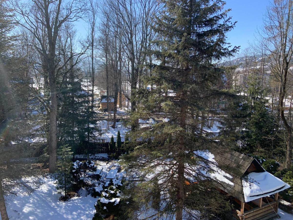 Hotel Ow Jaskolka Zakopane Esterno foto